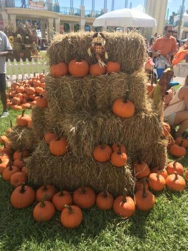 Pumpkin Patch (10)