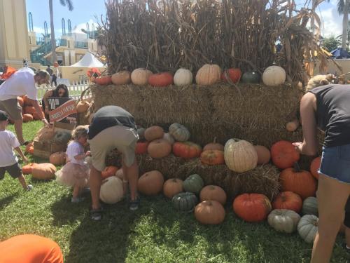 Pumpkin Patch (11)