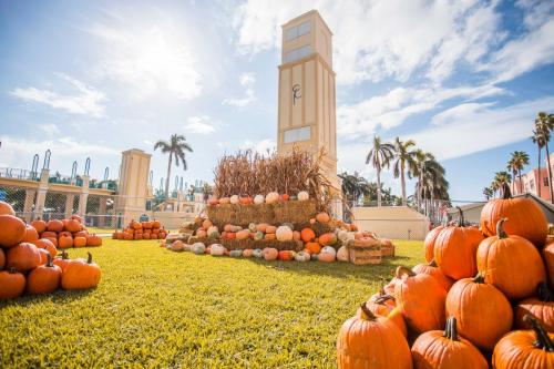 Pumpkin Patch (17)