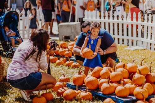 Pumpkin Patch (18)