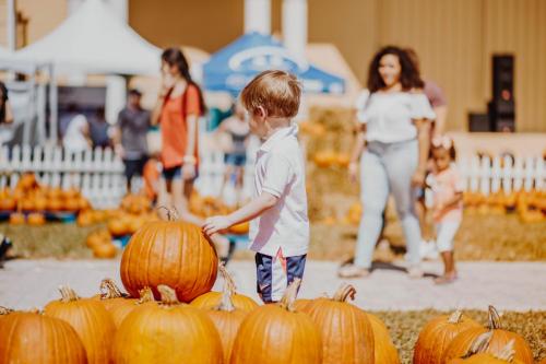 Pumpkin Patch (23)