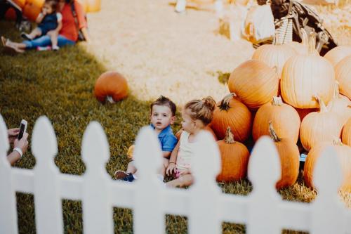 Pumpkin Patch (25)